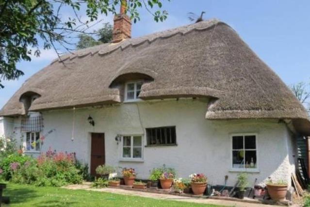 Entire Thatched Cottage Melbourn Bagian luar foto